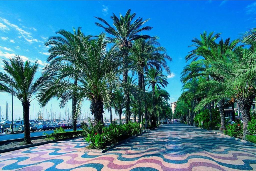 Charming Apartment In Alicante Near The Sea & City Center Eksteriør billede