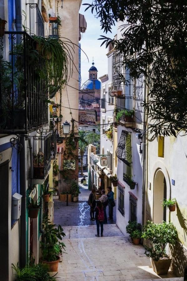 Charming Apartment In Alicante Near The Sea & City Center Eksteriør billede