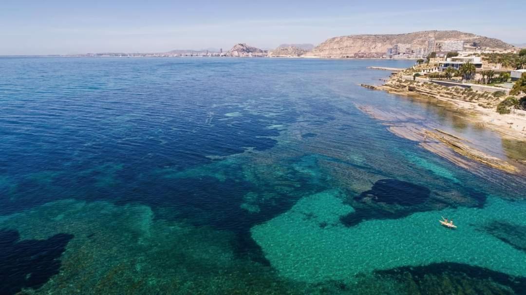 Charming Apartment In Alicante Near The Sea & City Center Eksteriør billede